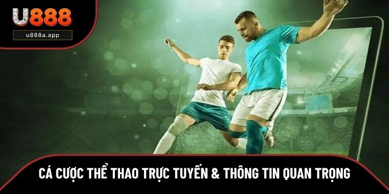 Cá Cược Thể Thao Trực Tuyến & Thông Tin Cần Nắm Khi Chơi