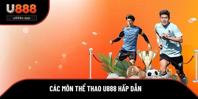 Các môn thể thao U888 được người chơi yêu thích