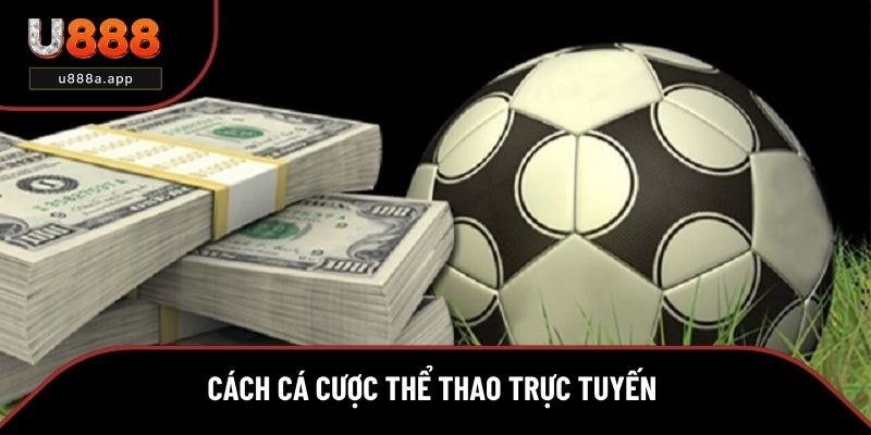 4 bước cơ bản để tham gia thể thao trực tuyến