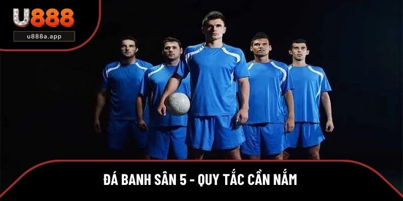 Đá Banh Sân 5 - Quy Tắc Cơ Bản Cần Nắm Khi Tham Gia
