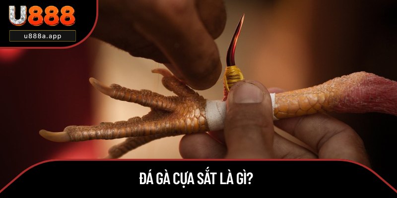 Giải thích định nghĩa đá gà cựa sắt
