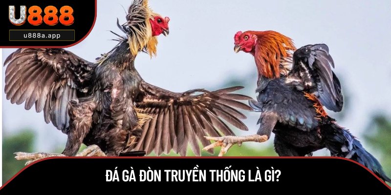 Định nghĩa về đá gà đòn truyền thống