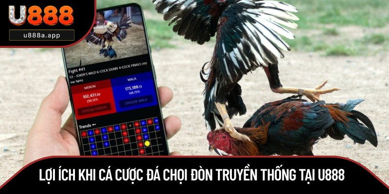Lý do nên cược đá gà đòn ở U888