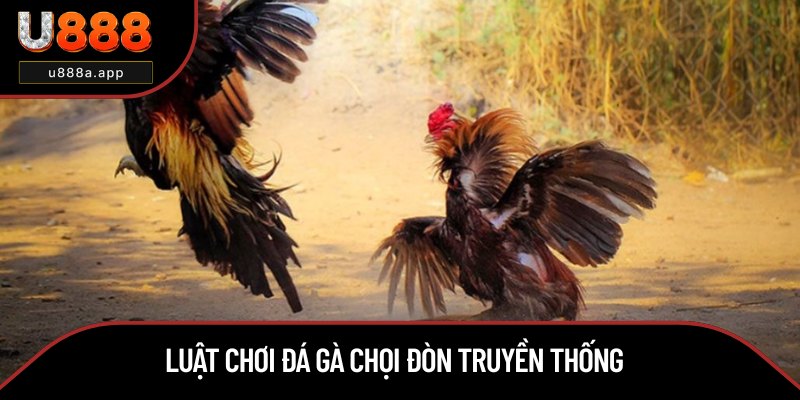 Cập nhật quy tắc chọi đòn truyền thống