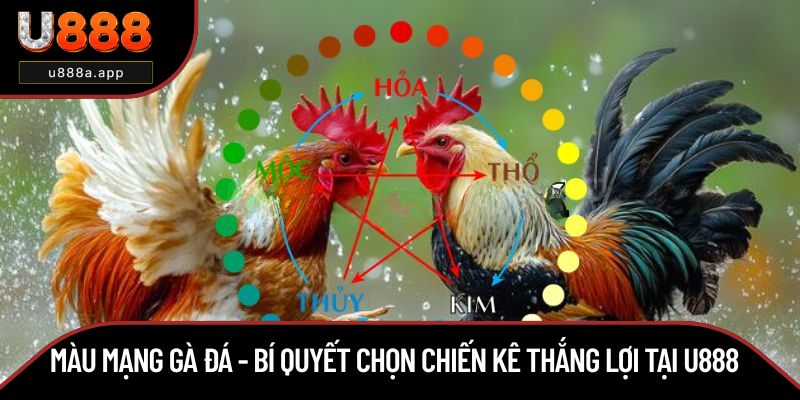 Màu Mạng Gà Đá - Bí Quyết Chọn Chiến Kê Thắng Lợi Tại U888