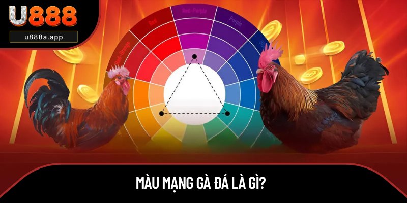 Khái niệm về màu mạng của gà đá