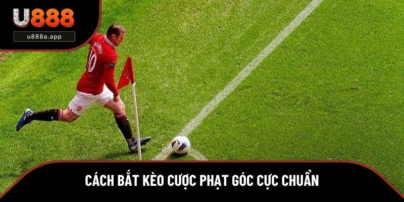Mẹo bắt kèo phạt góc cực chuẩn