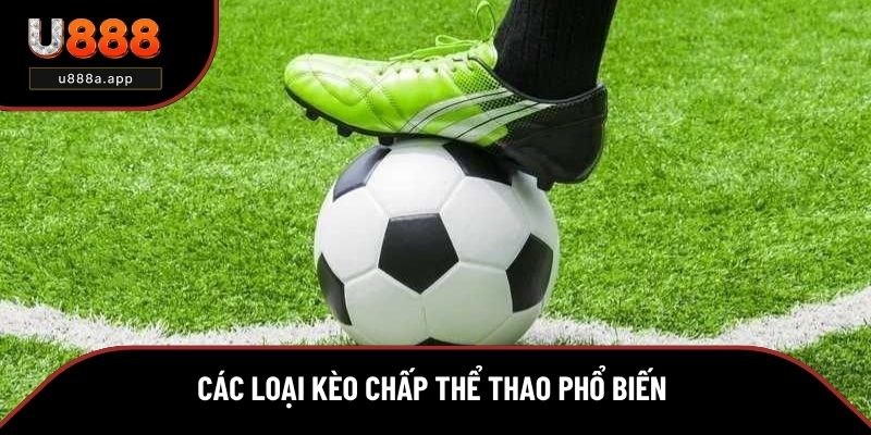 Những kiểu kèo chấp thể thao phổ biến hiện nay