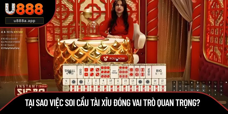 Tầm quan trọng khi soi cầu trò chơi Tài Xỉu