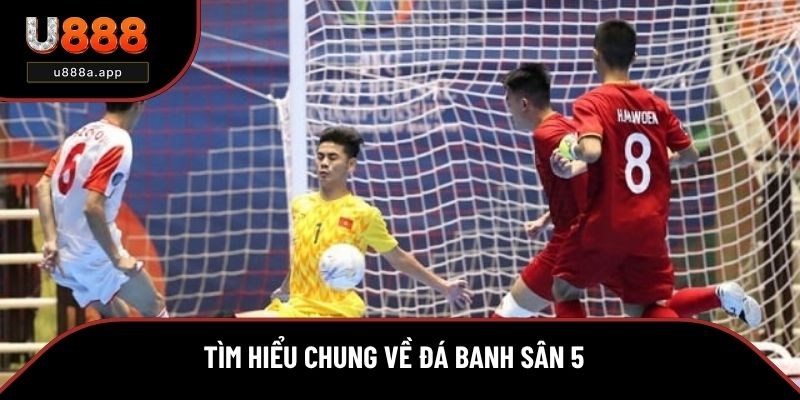 Tìm hiểu chung về đá banh sân 5