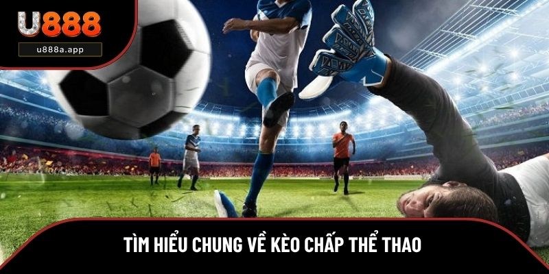 Tìm hiểu chung về kèo chấp thể thao  