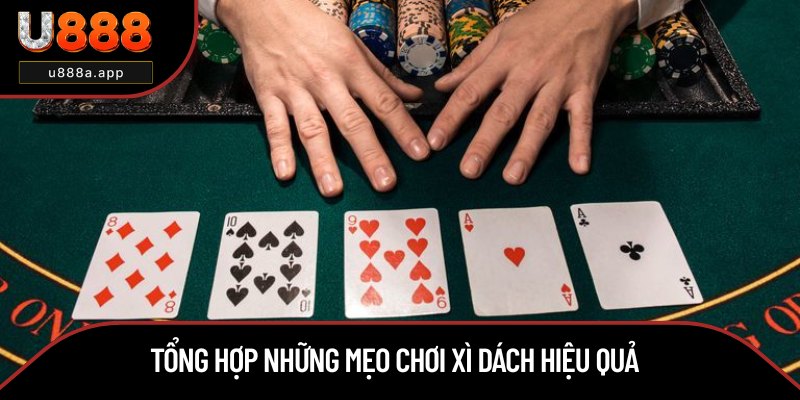 Bật mí mẹo đánh Xì Dách thắng lớn