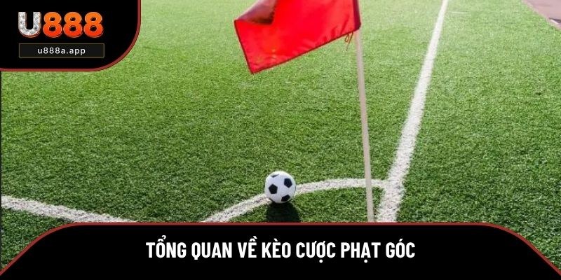 Tổng quan về kèo cược phạt góc