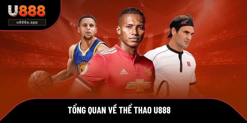 Thể thao U888 là danh mục cá cược hấp dẫn