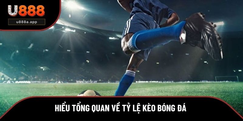 Tổng quan về tỷ lệ kèo bóng đá 